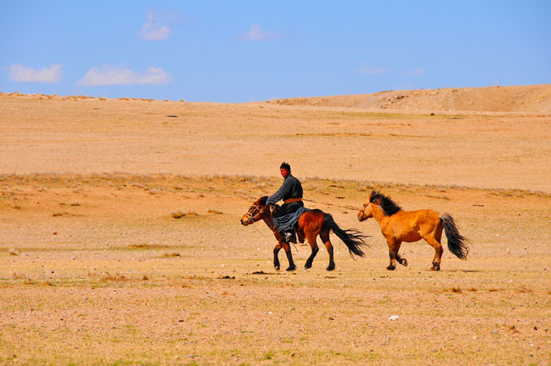 Mongolie